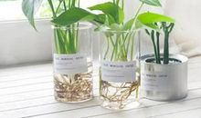 亲情温暖的感动句子