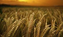 人生哲理名言50句