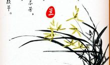 有关描写兰花的诗句