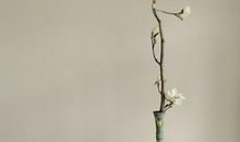 人与人之间亲情的句子