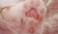 2019最搞笑的句子