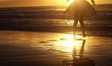 经典话语短句：我可以道歉，但你必须跪着听