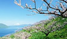 关于梦想的经典诗句