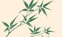 描写竹子的好句子