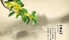 描写桂花美好的诗句