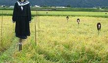 搞笑短语大全笑死人：肩膀有点痒可能在长小翅膀