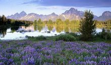 关于友情的好语句