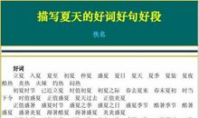 描写夏天的好段落