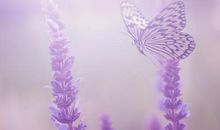 关于秋天的唯美诗句