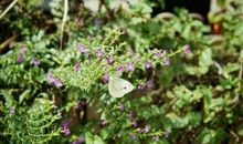 《平凡的世界》金句摘录 《平凡的世界》最经典的一句话