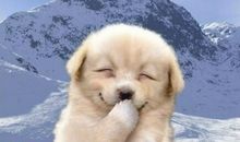 2019爆笑句子大全