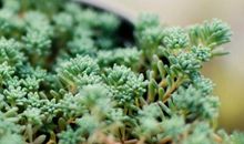 简短经典语录：不断的发现以前的自己是个傻逼，这就是人生