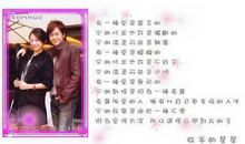 放羊的星星经典语录