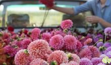 小红书励志句子 小红书正能量个性签名