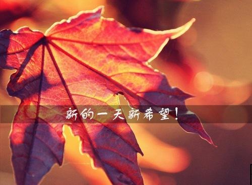 在每个人的开头