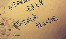 qq心情语录超短