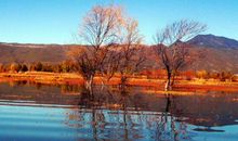 关于夏天的经典诗句