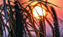 孩子对父母失望的句子