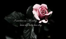 女生卖萌的甜句子大全