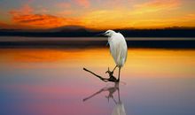 端午节有哪些诗句