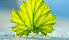 晚上发朋友圈的好句子