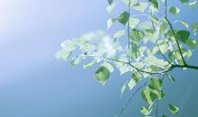 表达压抑又无奈的句子