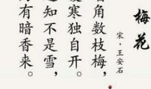 梅花诗句大全