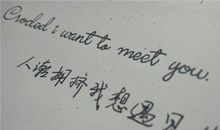 情侣表白经典句子英文