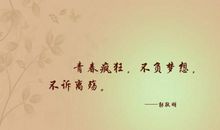 关于青春疯狂的句子
