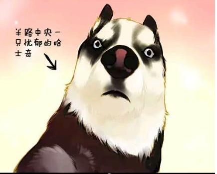 但又特别合理的人