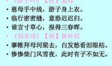 歌颂母爱的诗句或名言