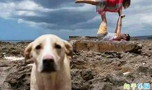 没有情人的情人节说说搞笑