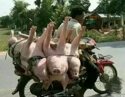 不要玩弄男人的感情