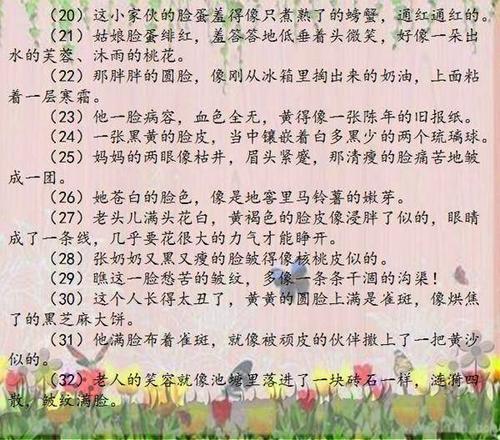   漂亮的句子描述了字符的出现1   1