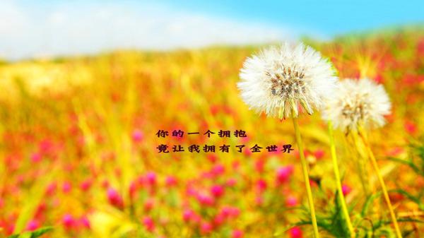  /善待自己