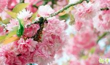 短句说说暖心 经典治愈系暖心句子简短