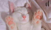 皮到爆炸的晚安语 晚安皮一点的说说