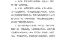 描写动物外形的句子