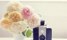 哲理句子简短精辟:愿你阳光下像个孩子,风雨里像个大人