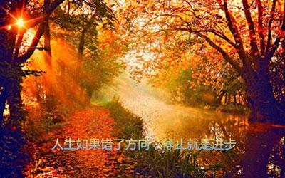 何不多说
