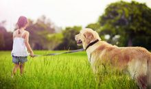 小孩子笑的开心的句子