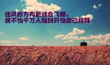 努力奋斗的人生格言