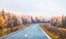 文艺一点的表白句子