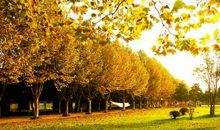 文艺唯美古风句子