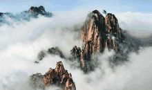 认识你不后悔的句子