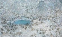 我表示对公婆失望的句子