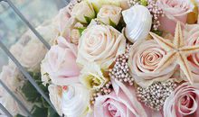 感恩相遇的唯美句子