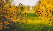 形容自己很后悔的句子