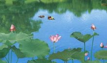 表达心静意境的句子