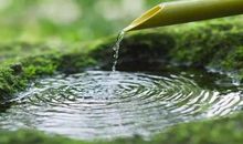 描述心静回归自然的句子